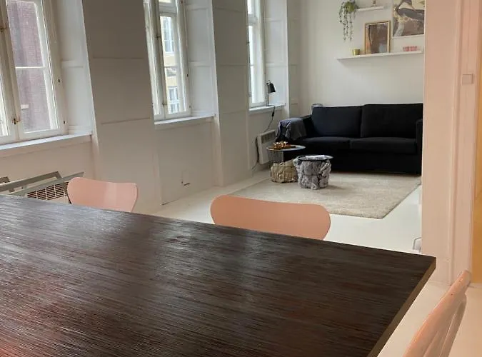 Apartamento In The City Center Of Copenhagen