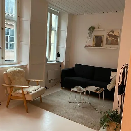 In The Center Of Copenhagen